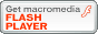 FLASH�i�t���b�V���j���_�E�����[�h